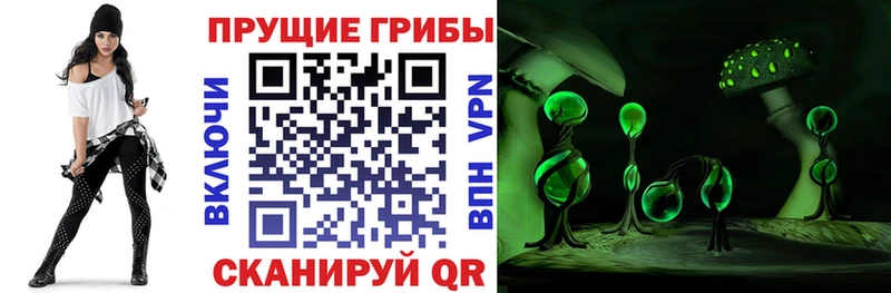 купить   Ростов  Галлюциногенные грибы Magic Shrooms 
